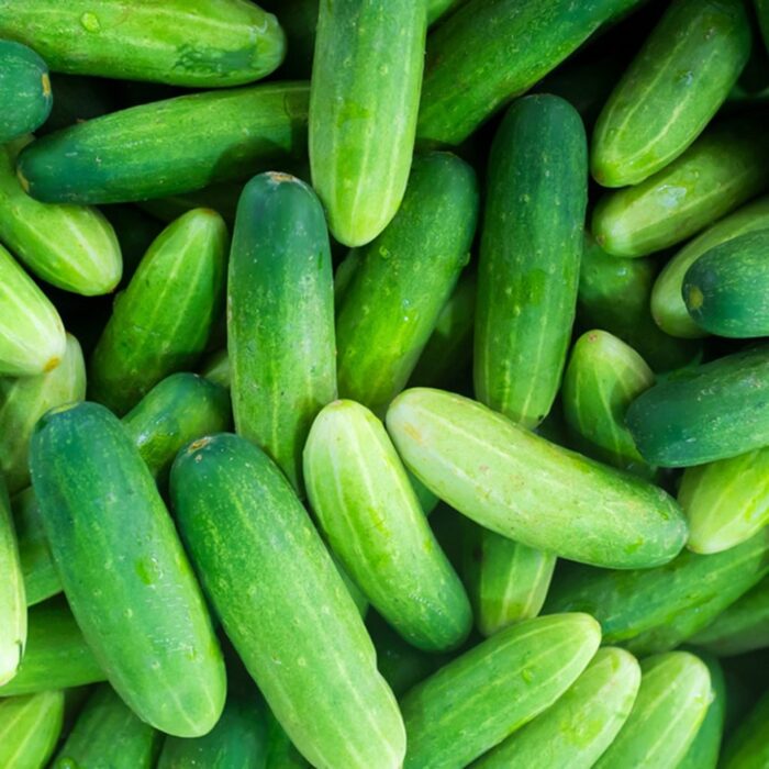 Cucumber (खीरा)